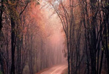 QQ斗地主为啥这么受欢迎？